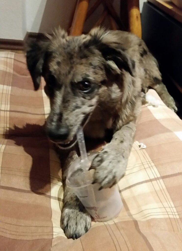 Unsere Lilo