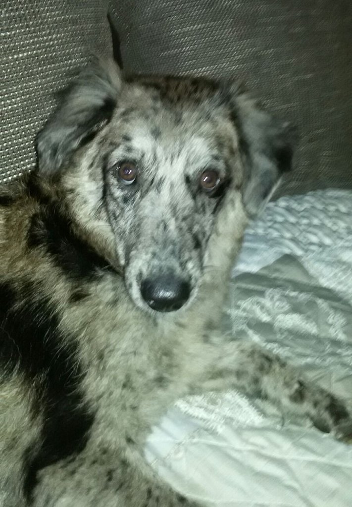 Unsere Lilo