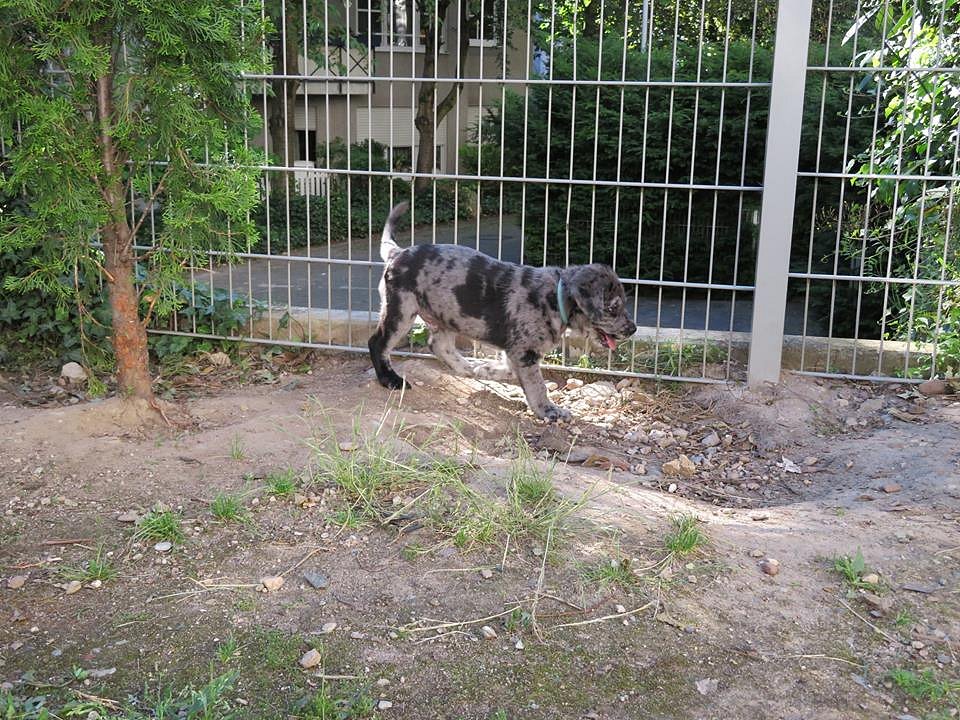 Abilou