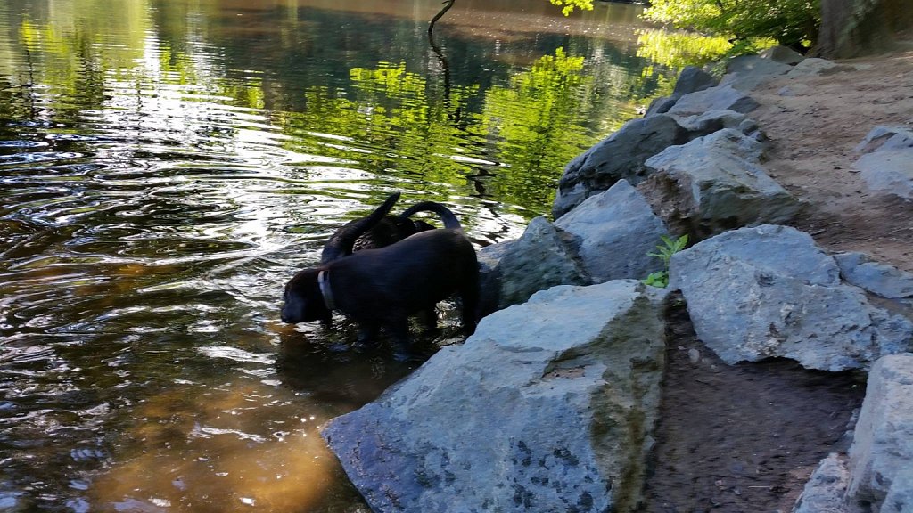 an der Oberschweinstiege