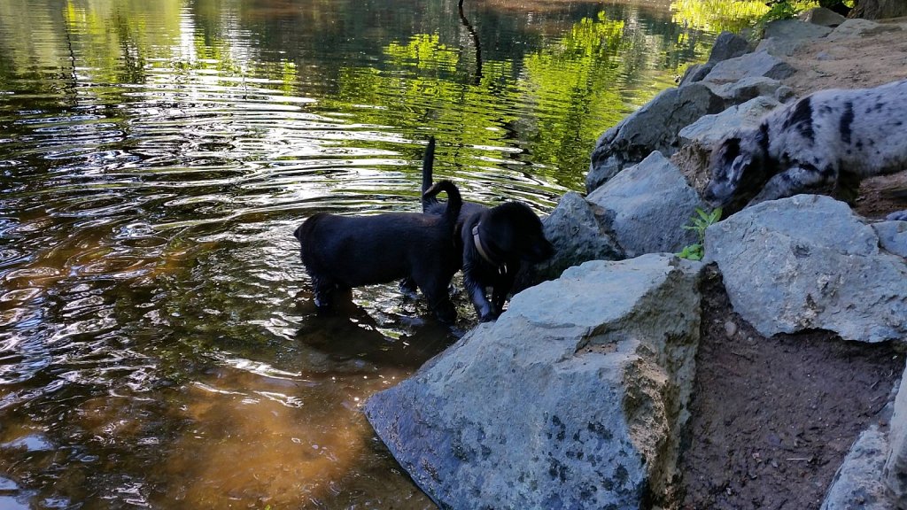 an der Oberschweinstiege
