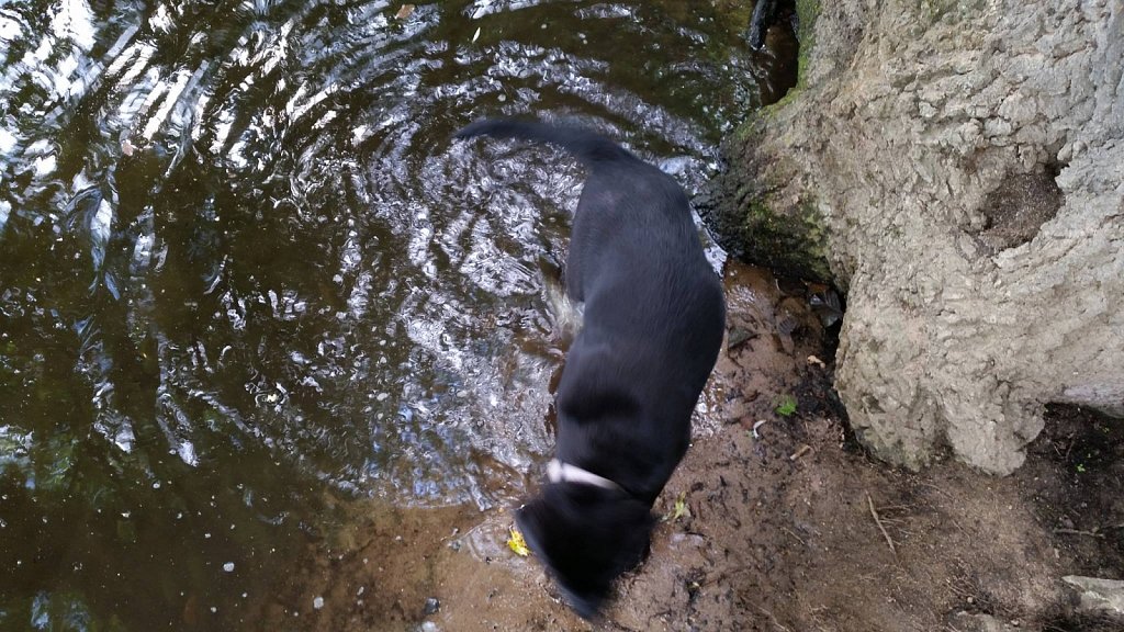an der Oberschweinstiege
