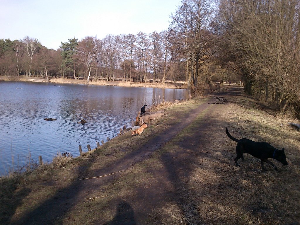 Grundwiese mit Lilo, Pria, Lula