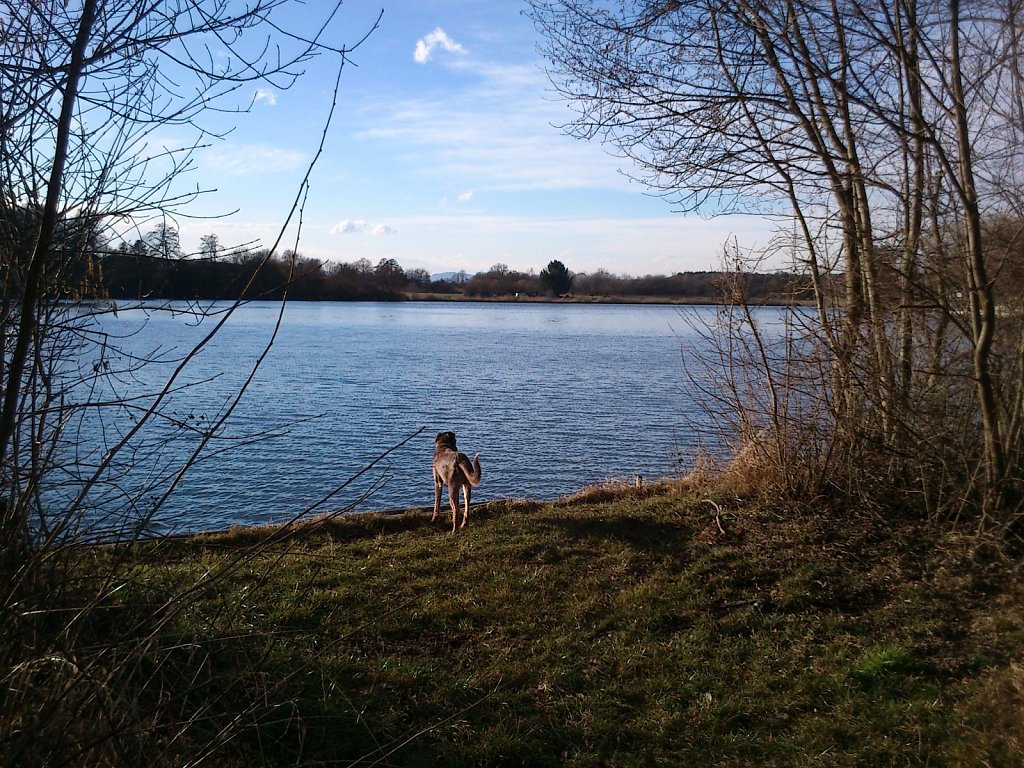 Monti am See
