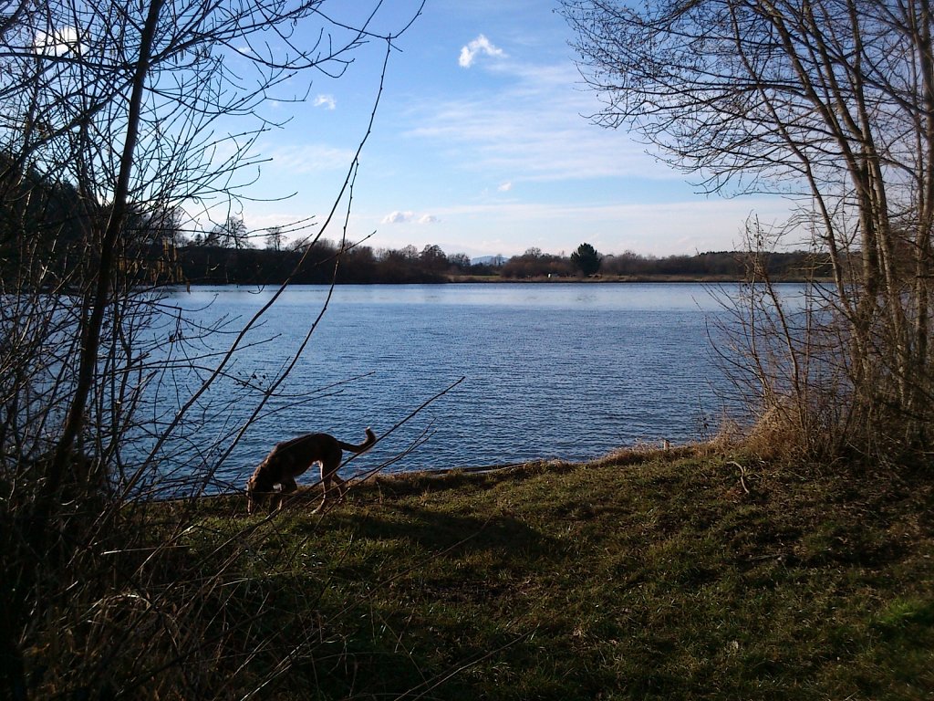 Monti am See