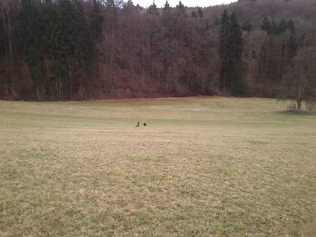 Monti mit Graf auf dem Berg