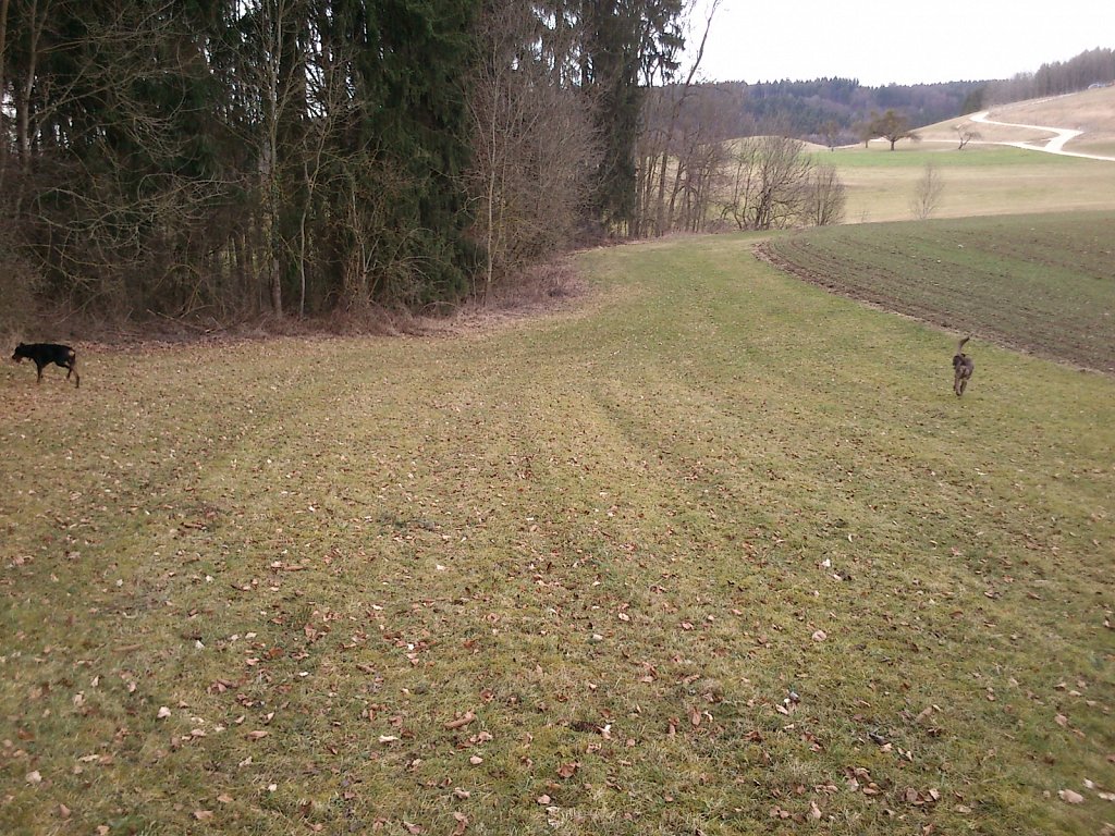 Monti mit Graf auf dem Berg