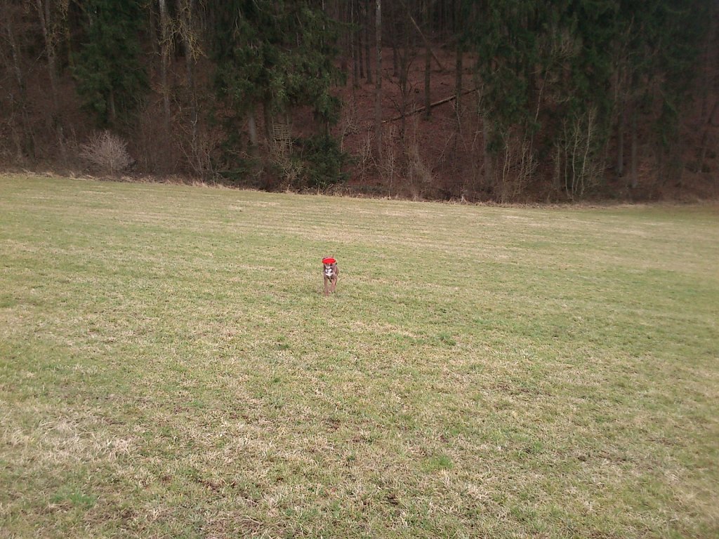 Monti mit Graf auf dem Berg