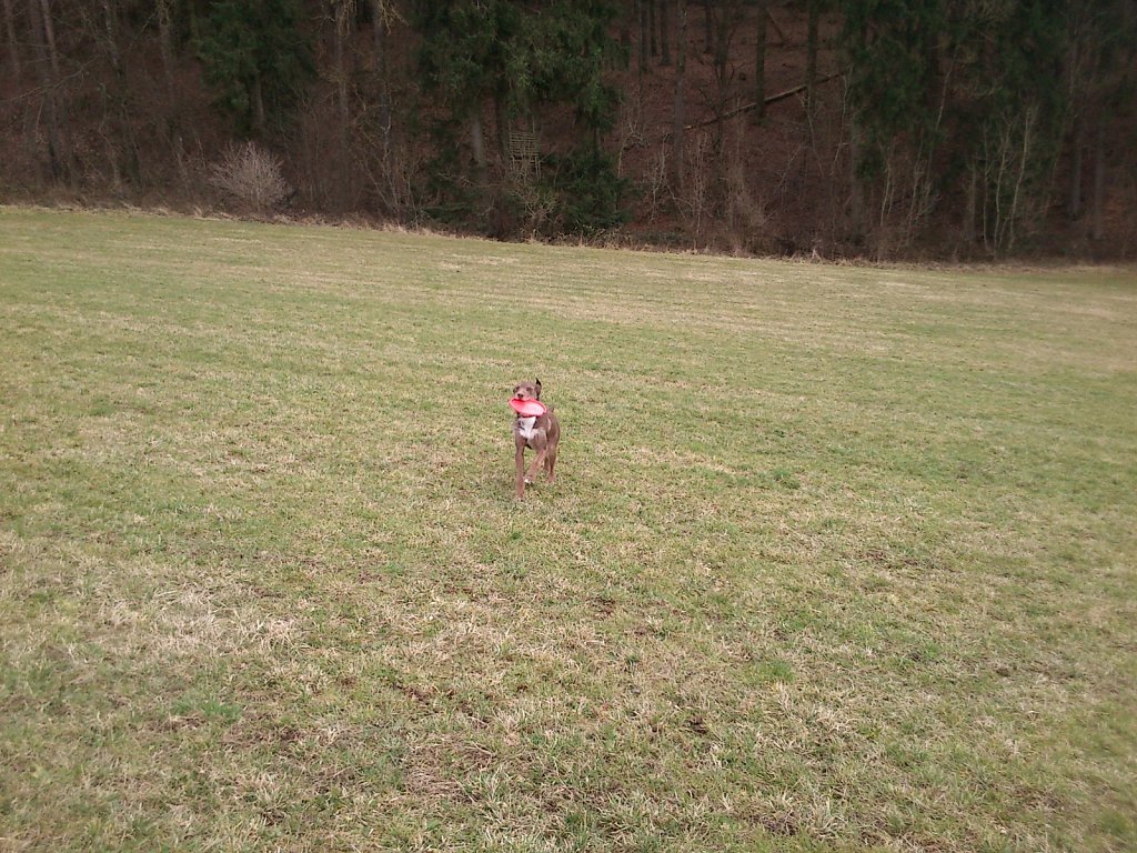 Monti mit Graf auf dem Berg