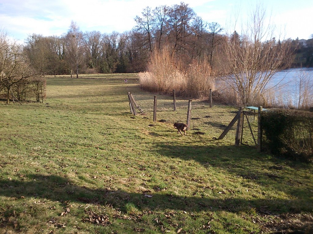 Monti am See
