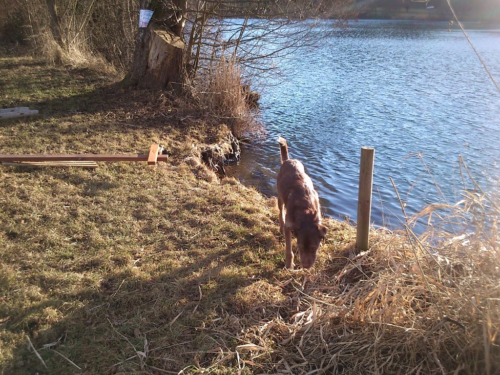 Monti am See