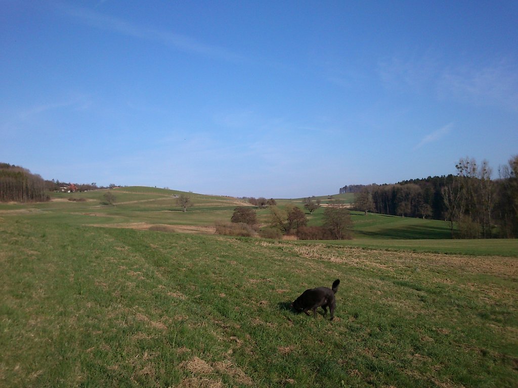 Pria wieder im Süden