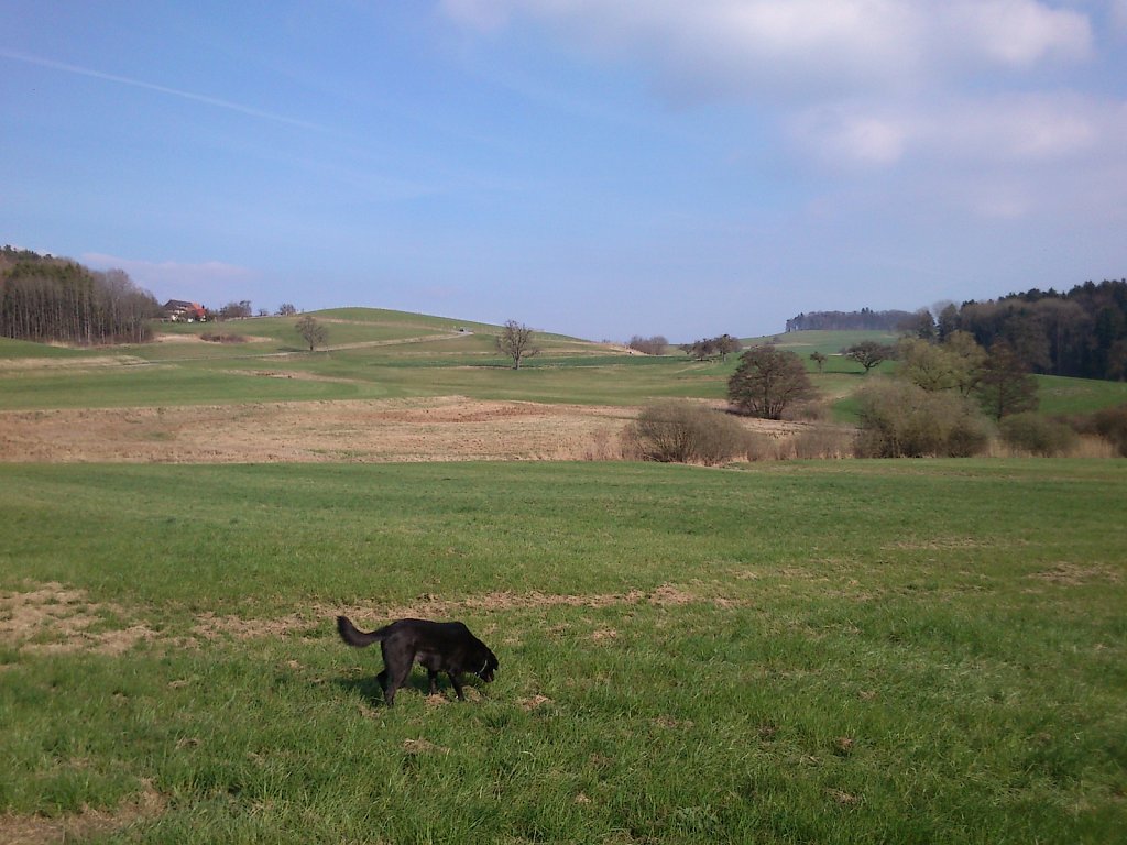 Pria mit Graf auf Mäusejagd