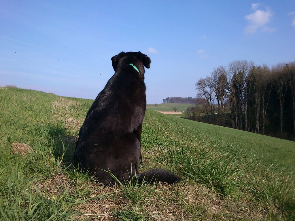Pria mit Graf auf Mäusejagd