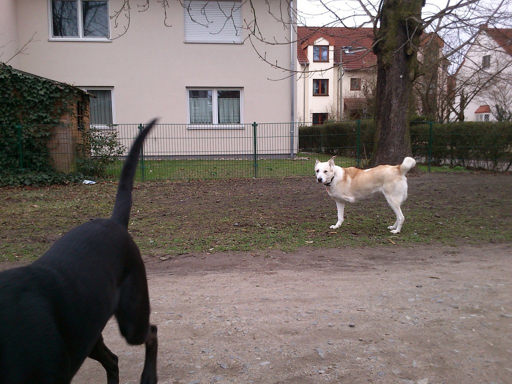 Lula und Molly
