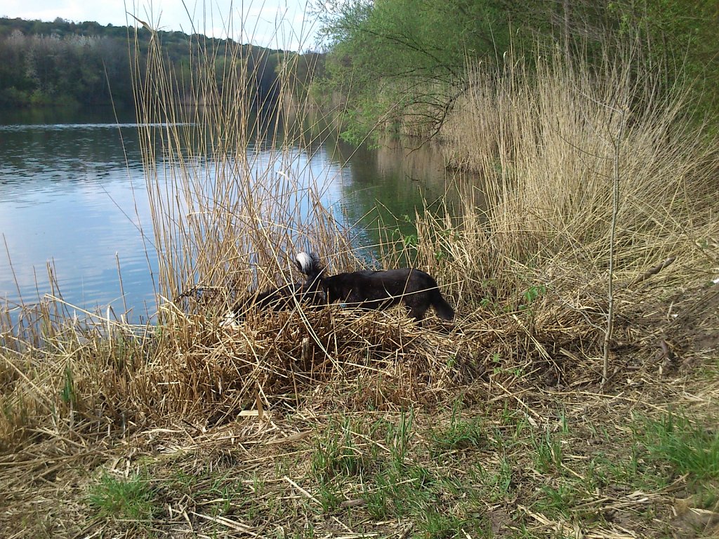 Pria mit Sheela und Bingo 