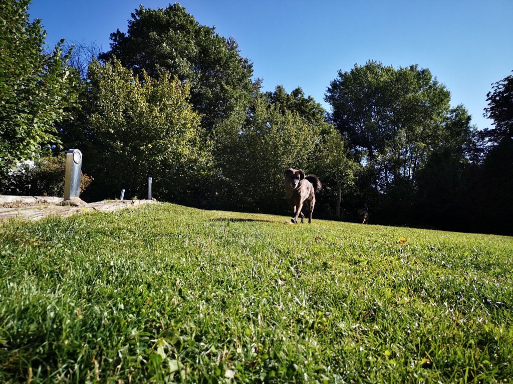 die 3 in Belgien