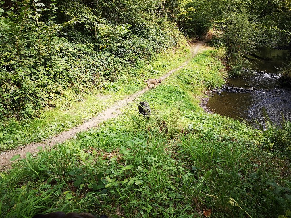 die 3 in Belgien
