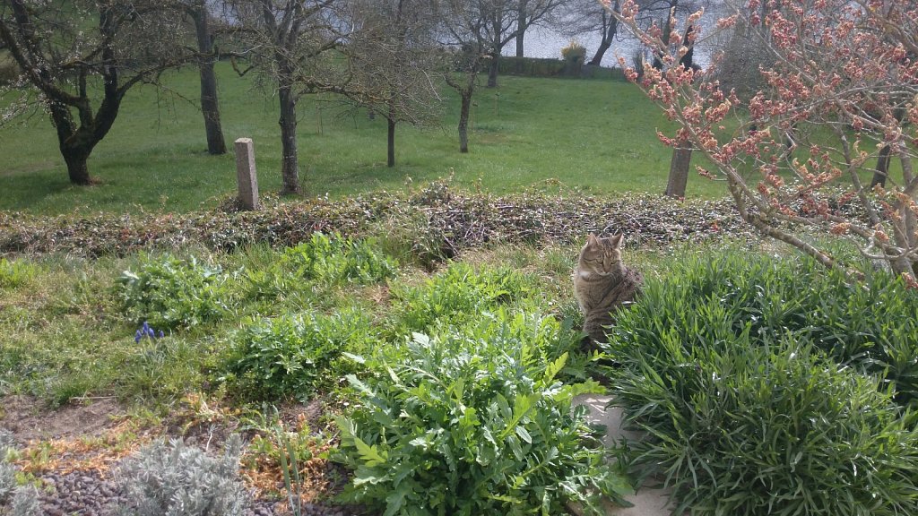 Ostern