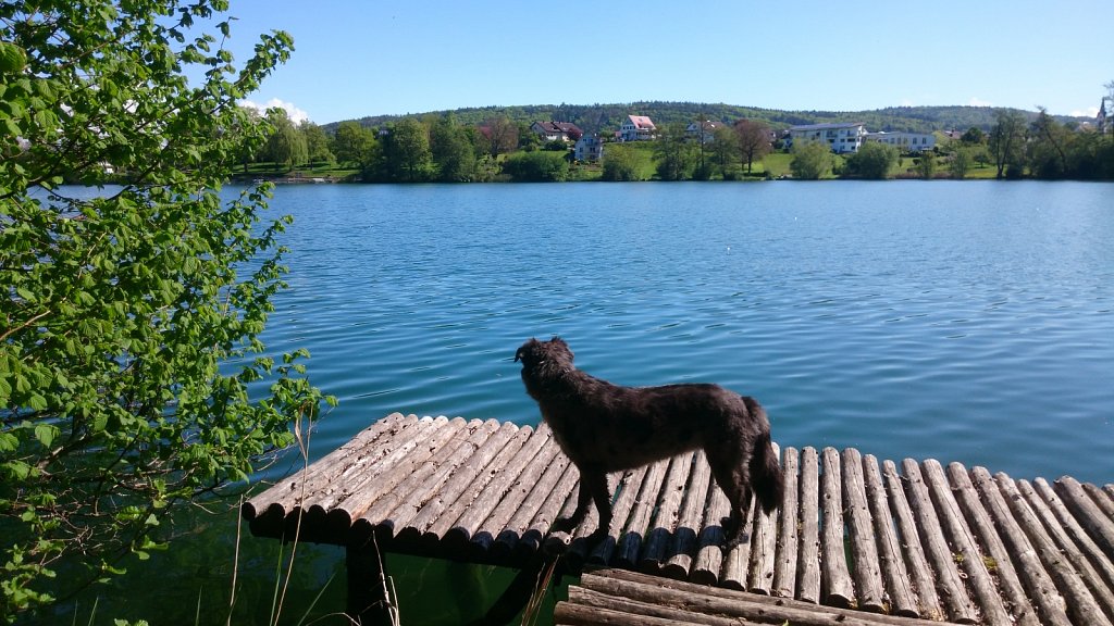 Mal wieder am See ;-)