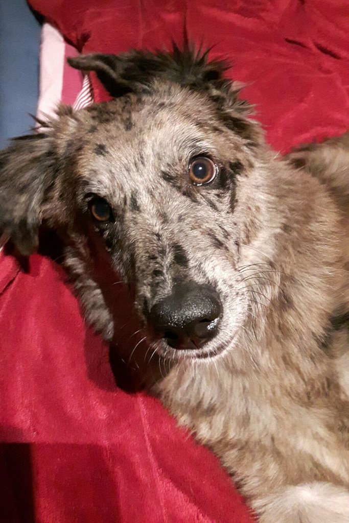 Unsere Lilo
