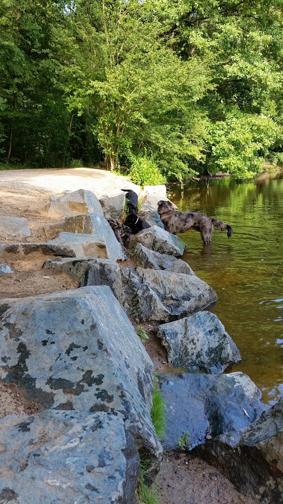 an der Oberschweinstiege