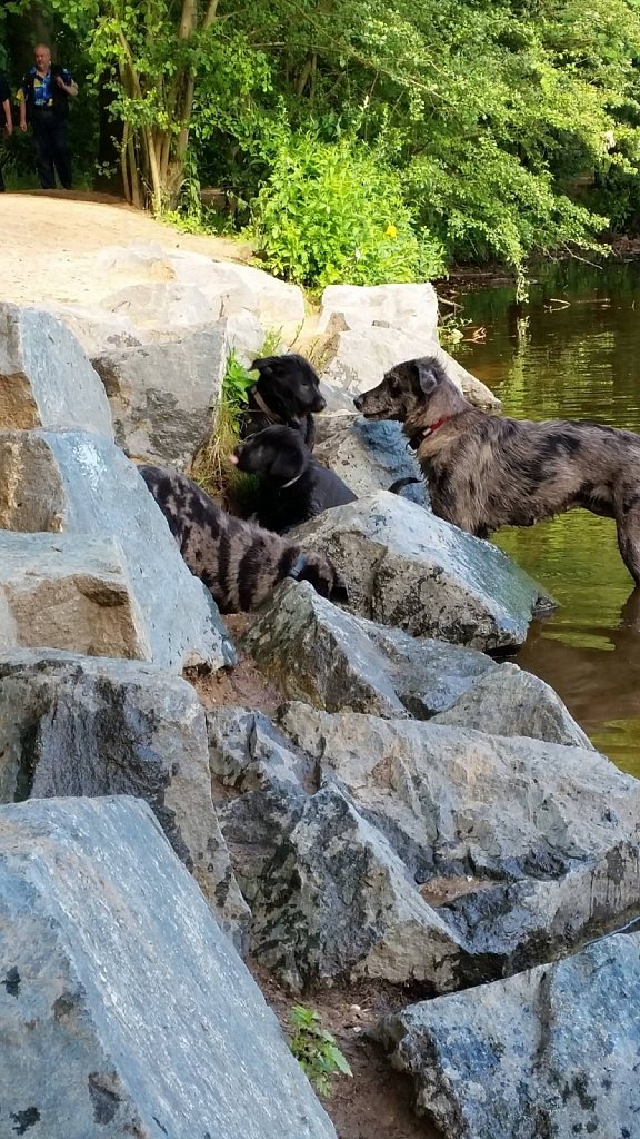 an der Oberschweinstiege