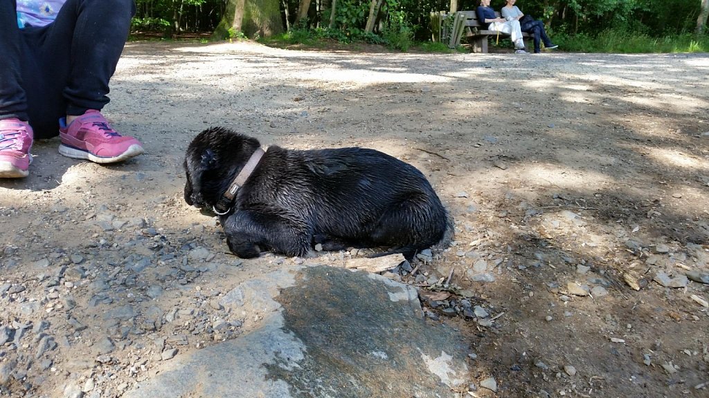 an der Oberschweinstiege