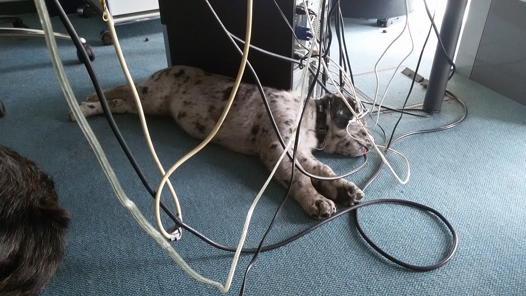 Auf Arbeit