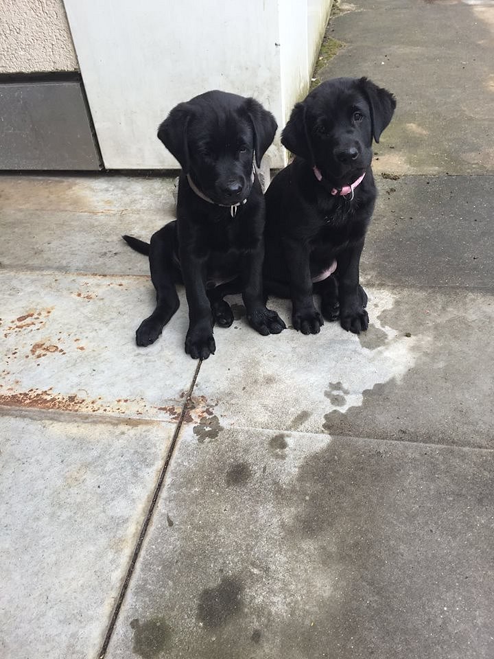 Mylo mit Sunny