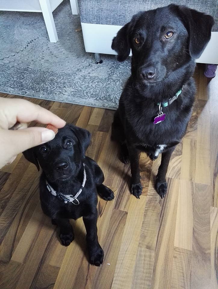 Mylo mit Tante Pria