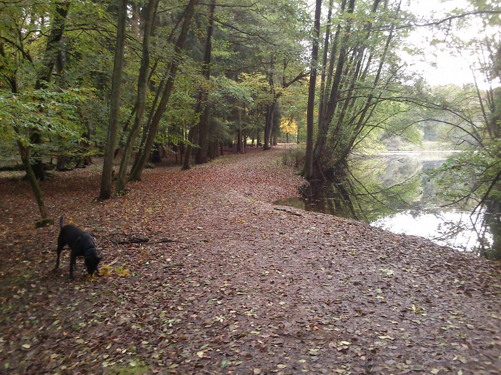 Lula am Kesselbruchweiher