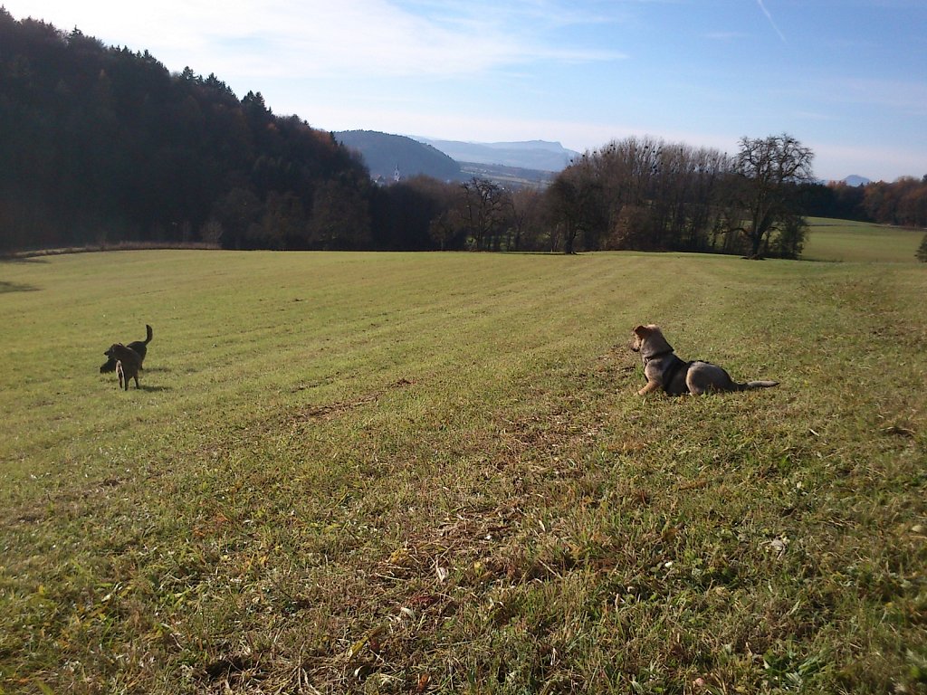 Auf Mäusejagd mit Lilo und Sheela