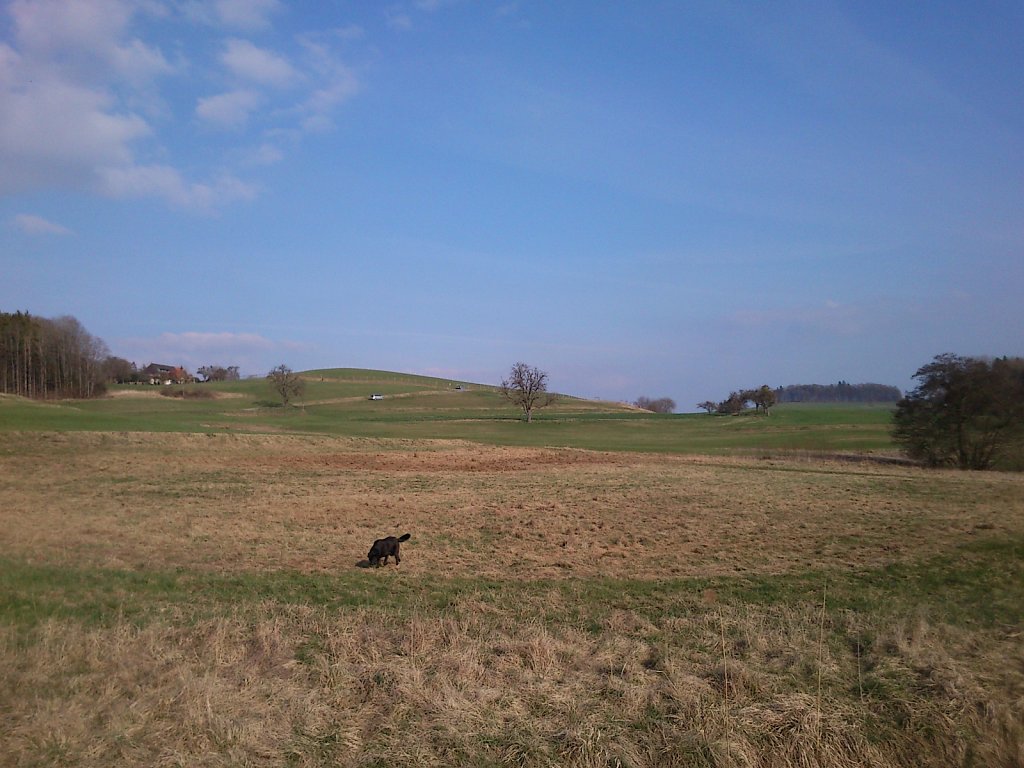 Pria mit Graf auf Mäusejagd