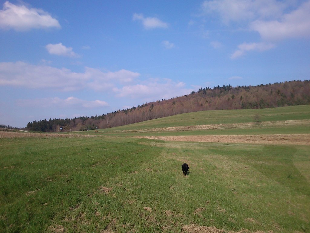 Pria mit Graf auf Mäusejagd