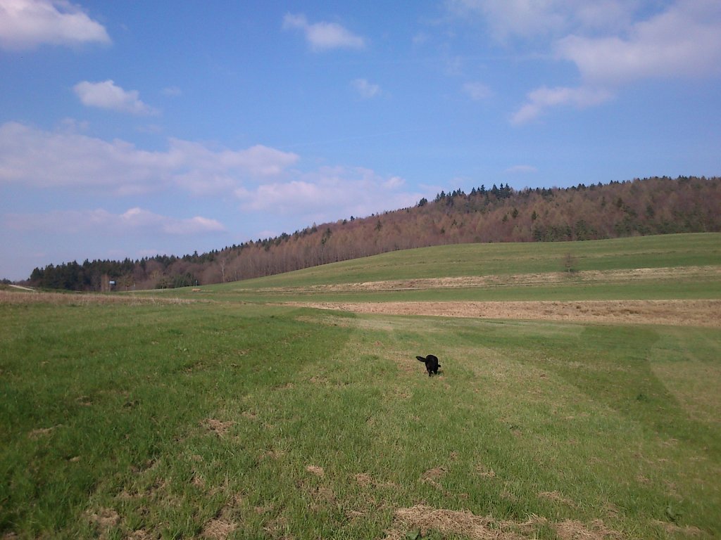 Pria mit Graf auf Mäusejagd