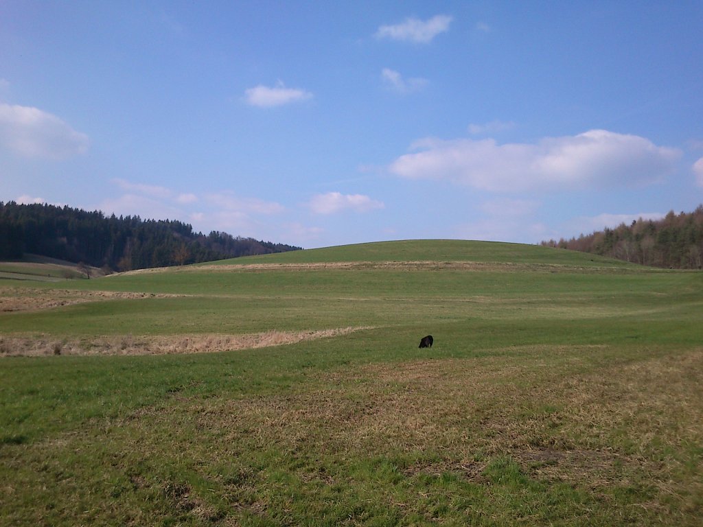 Pria mit Graf auf Mäusejagd