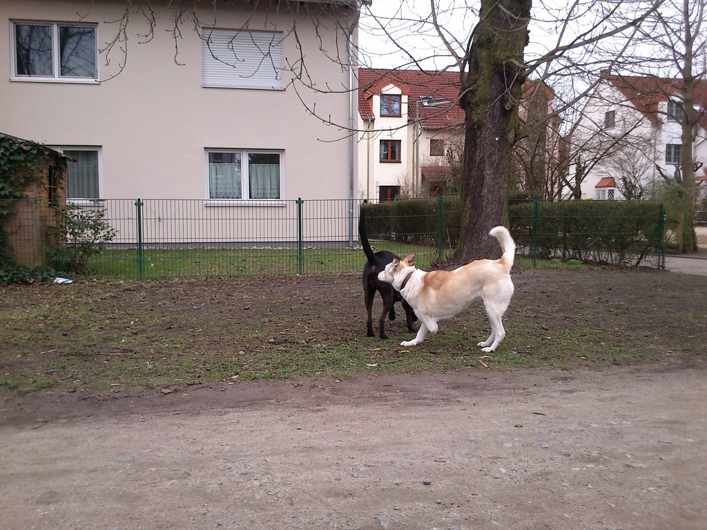 Lula und Molly