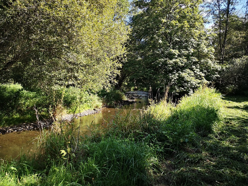 die 3 in Belgien